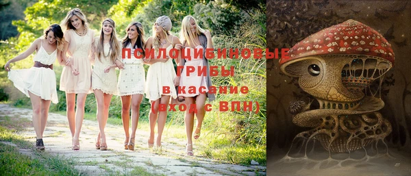 a pvp Абинск