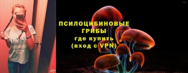ПСИЛОЦИБИНОВЫЕ ГРИБЫ Абдулино