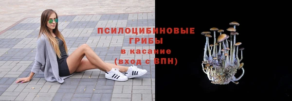 ПСИЛОЦИБИНОВЫЕ ГРИБЫ Абдулино