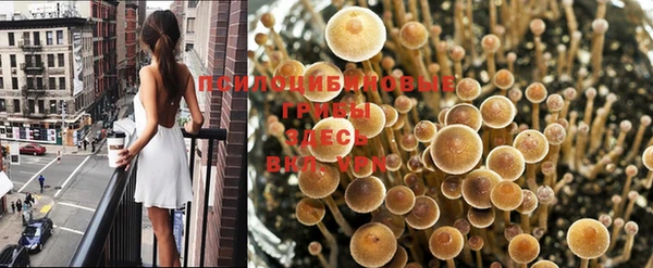 амфетамин Надым