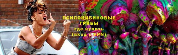 ПСИЛОЦИБИНОВЫЕ ГРИБЫ Абдулино